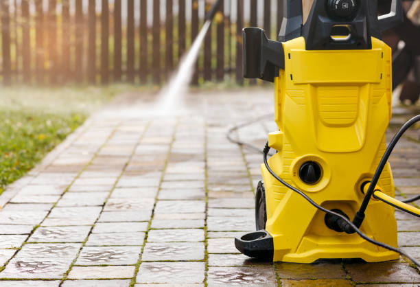 Best Animal Enclosure Cleaning  in Shamrock, TX